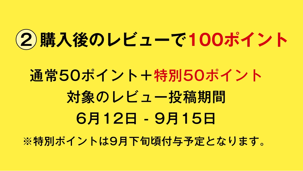 購入後のレビューで100ポイント
