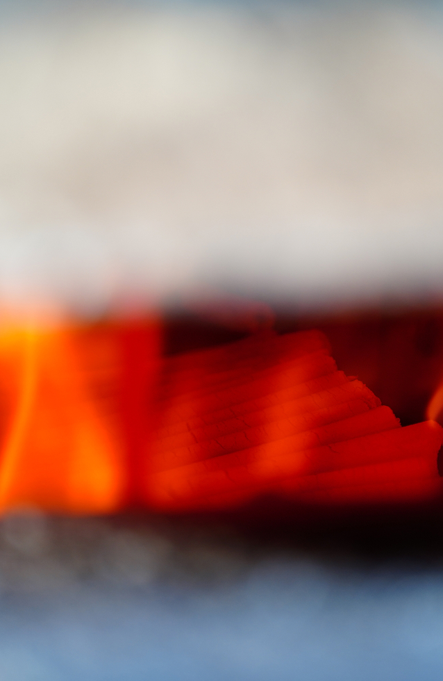 生産者インタビュー