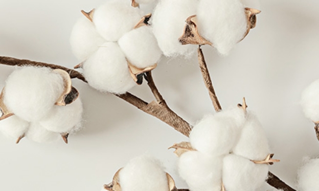 天然由来成分100％